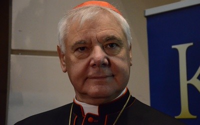 Kard. Müller oskarża flamandzkich biskupów o herezję