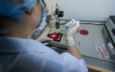 Rząd przyjął projekt ustawy o in vitro