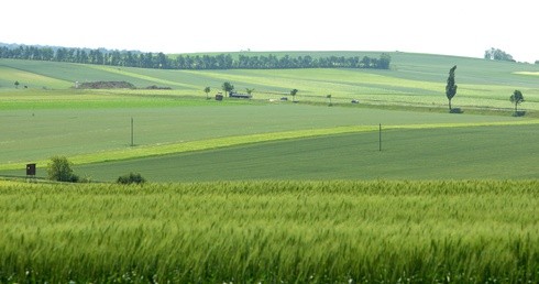 Rekolekcje w ciszy u boromeuszek