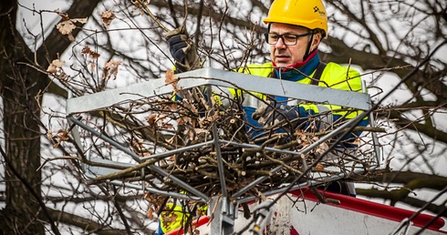 Nowe gniazdo już jest, brakuje tylko bocianów