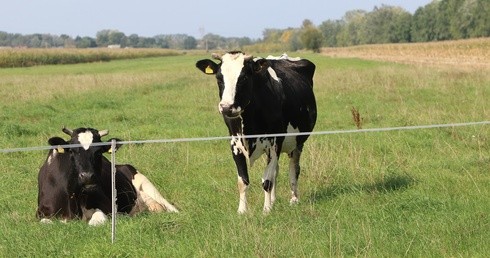 Baranów koło Grodziska Mazowieckiego