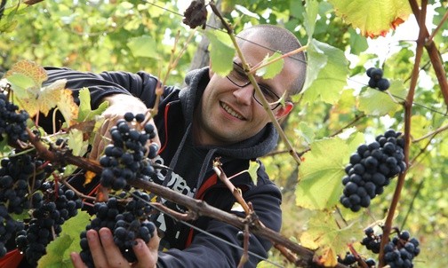 01.10.20| Winobranie i świętowanie