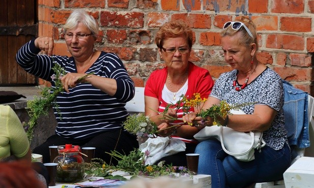 Podagrycznik czas zebrać. Posłuży w chorobie