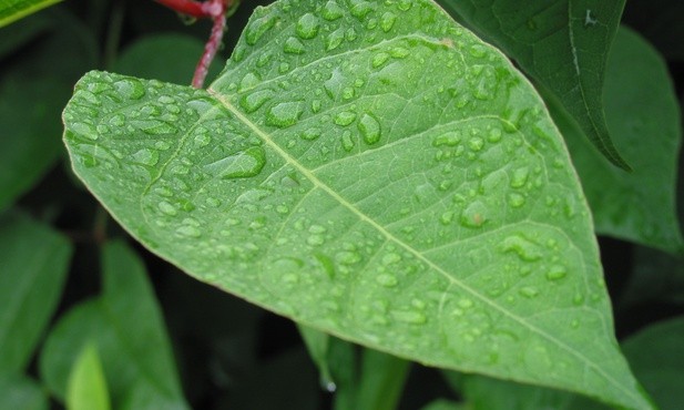 Bez wody nie ma życia