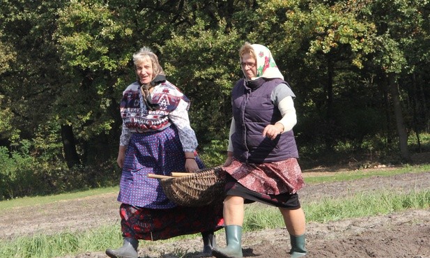 Uwielbiamy je! Nasze ziemniaki są wspaniałe