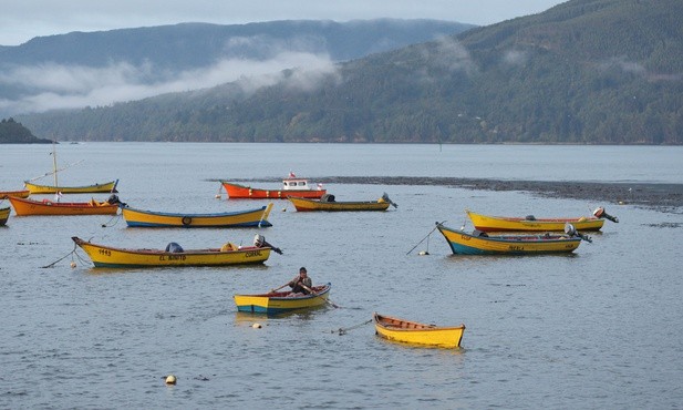 Niebla, Chile