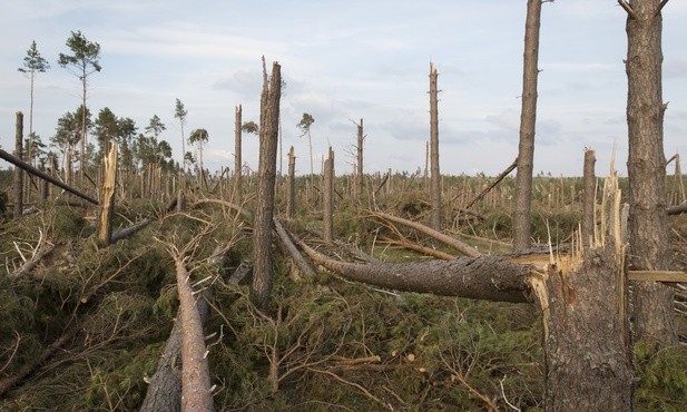 Wichury nad Polską, są ofiary śmiertelne