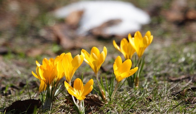 Zło nie ma przyszłości