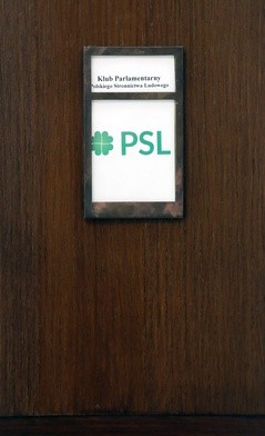 PSL może poprzeć PiS