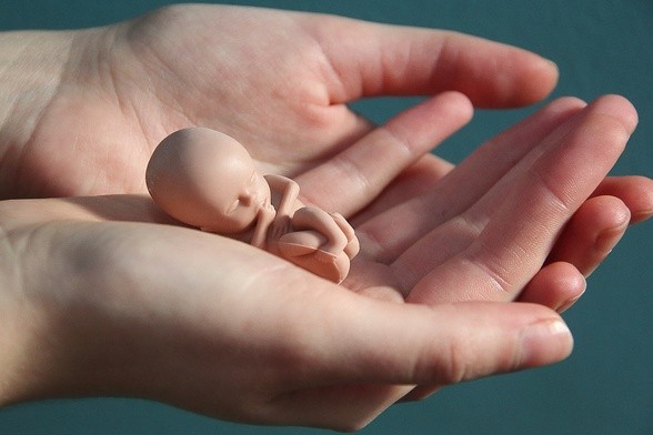 Brazylia: trwa parlamentarna debata nt. legalizacji aborcji