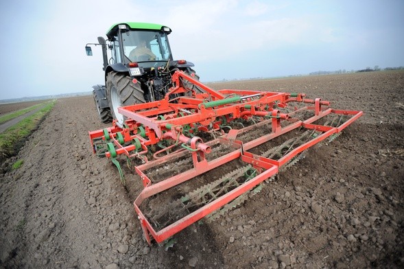 Gleba potrzebuje roślin