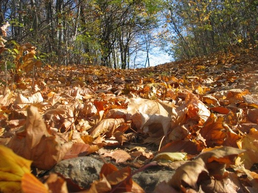 Przeminęło? Nie. Obudzi się