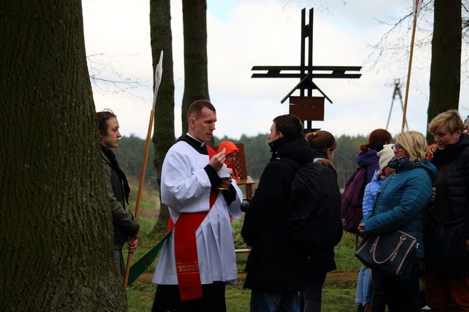 Święty Gaj - uroczystości odpustowe 