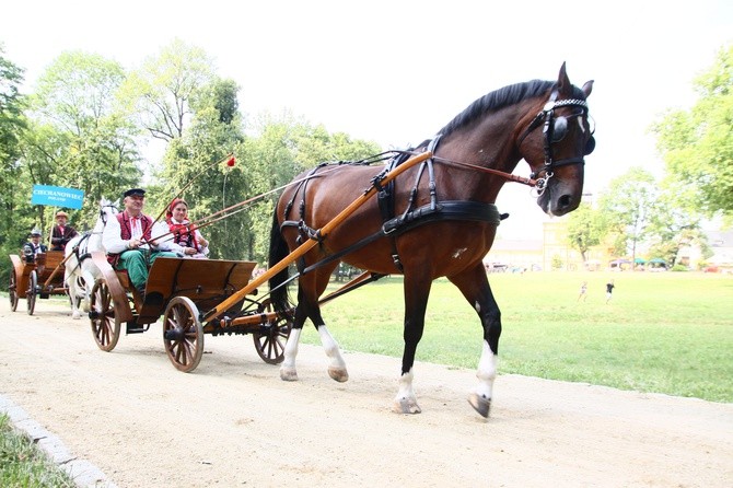 I Międzynarodowy Konkurs Tradycyjnego Powożenia o Trofeum Śląska w Koszęcinie