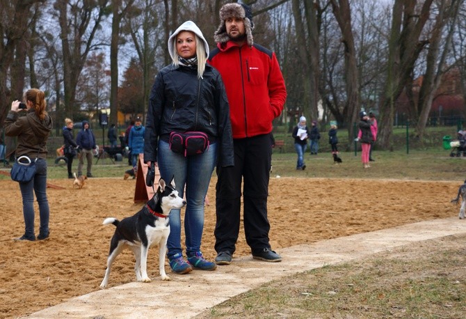 Park dla psów w Elblągu