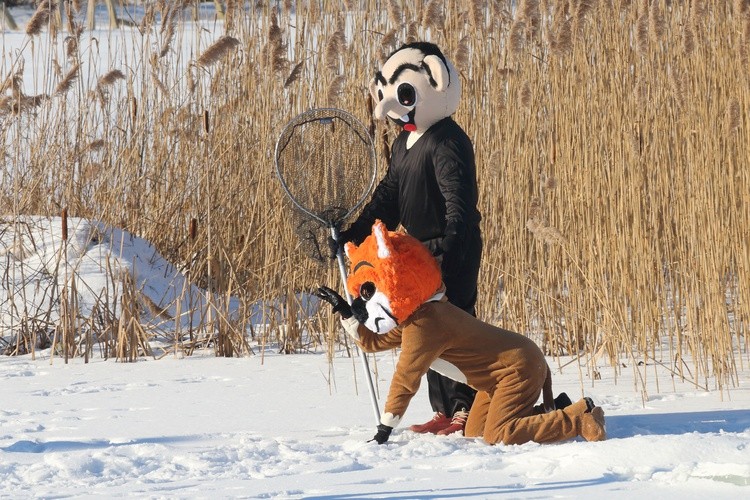 Morsy nad Jeziorem Korsuń