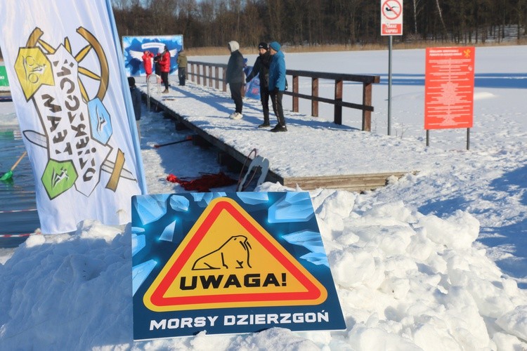 Morsy nad Jeziorem Korsuń
