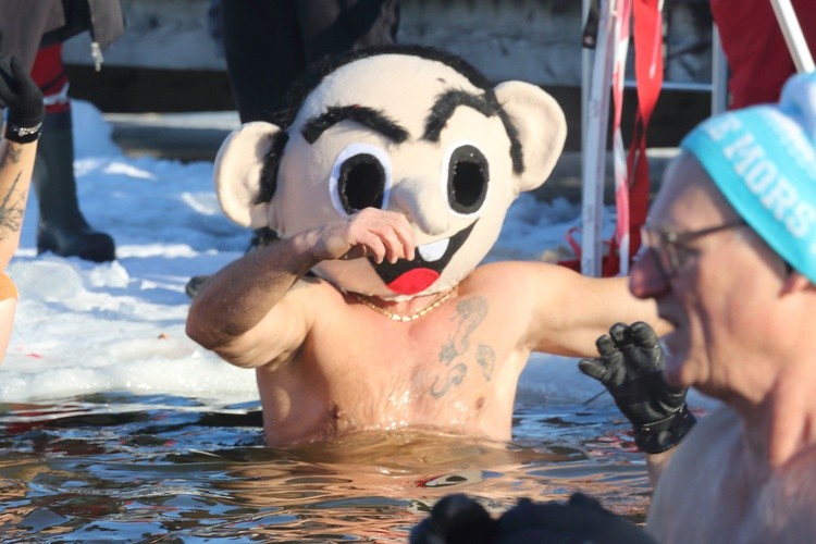 Morsy nad Jeziorem Korsuń