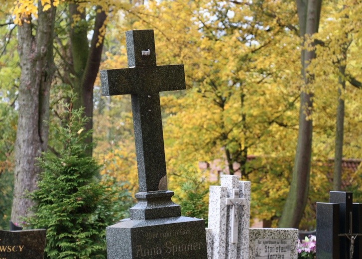 Cmentarz w Ryjewie