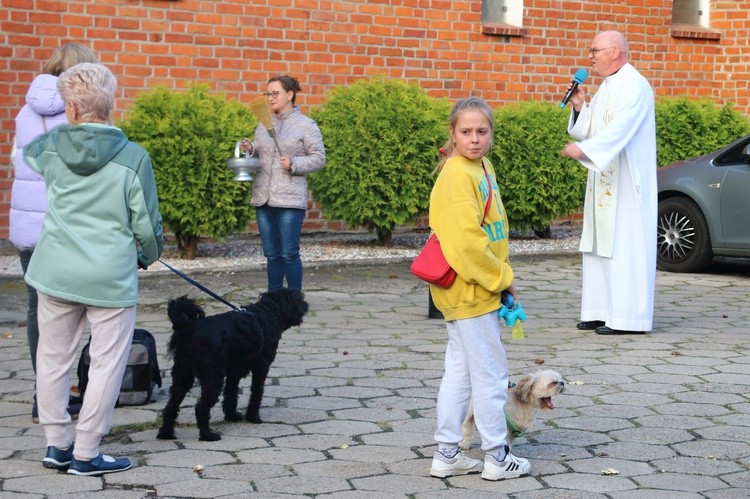 Błogosławieństwo "braci mniejszych" we wspomnienie św. Franciszka