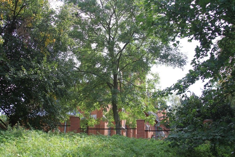 Rostkowo św. Stanisława Kostki