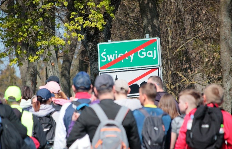 Święty Gaj - uroczystości odpustowe