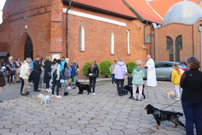 Błogosławieństwo "braci mniejszych" we wspomnienie św. Franciszka