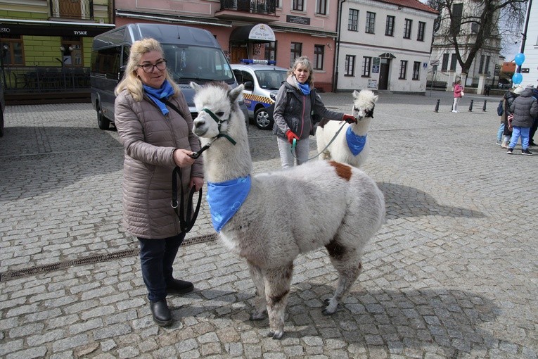 Płock. Obchody Dnia Świadomości Autyzmu