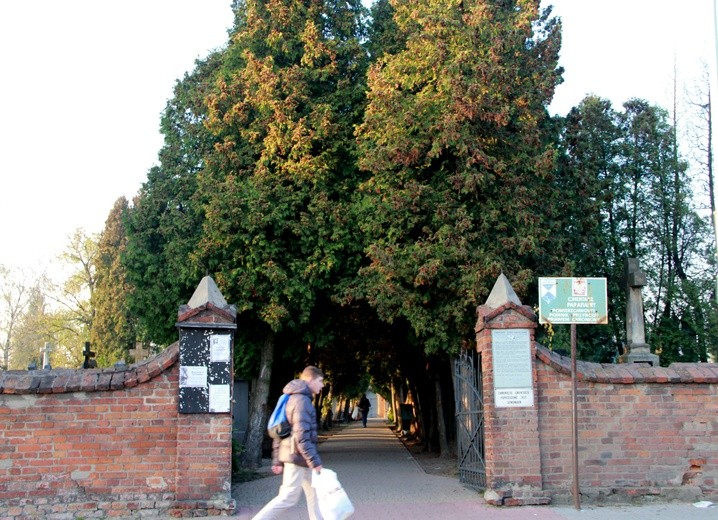 Stary cmentarz w Dębicy