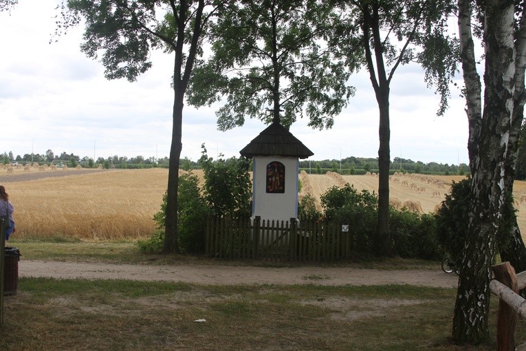 Miodobranie w Skansenie 2019