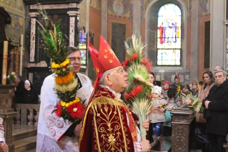 Niedziela Palmowa w katedrze