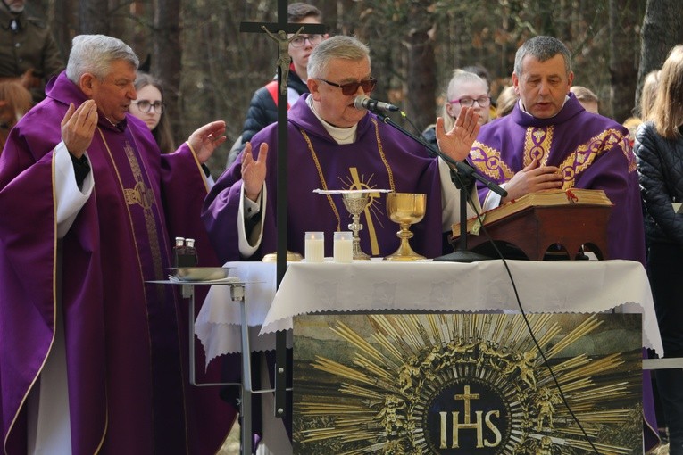 Uroczystości patriotyczne k. Radzanowa n. Wkrą