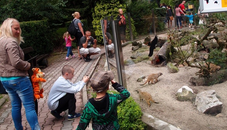 85 lat krakowskiego zoo