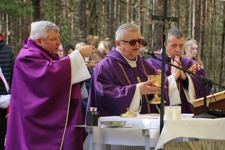 Uroczystości patriotyczne k. Radzanowa n. Wkrą