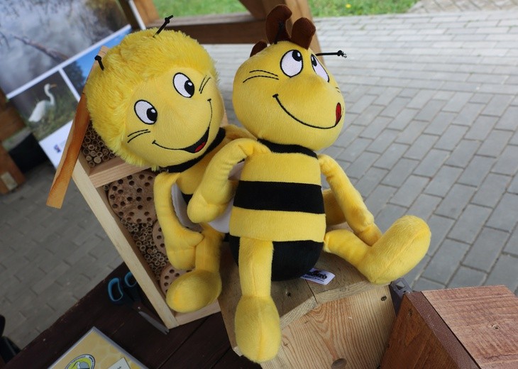 Wielki Dzień Pszczół 