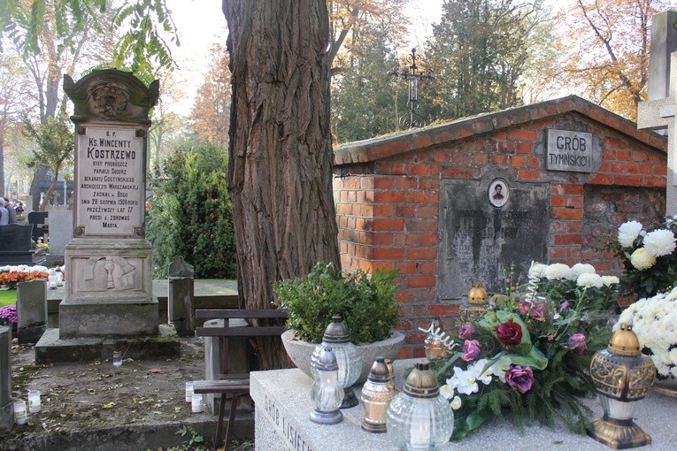 Wszystkich Świętych w Płocku