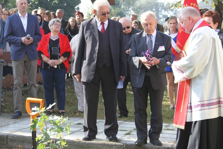 Dąb Pamięci w par. Janowiec Kościelny
