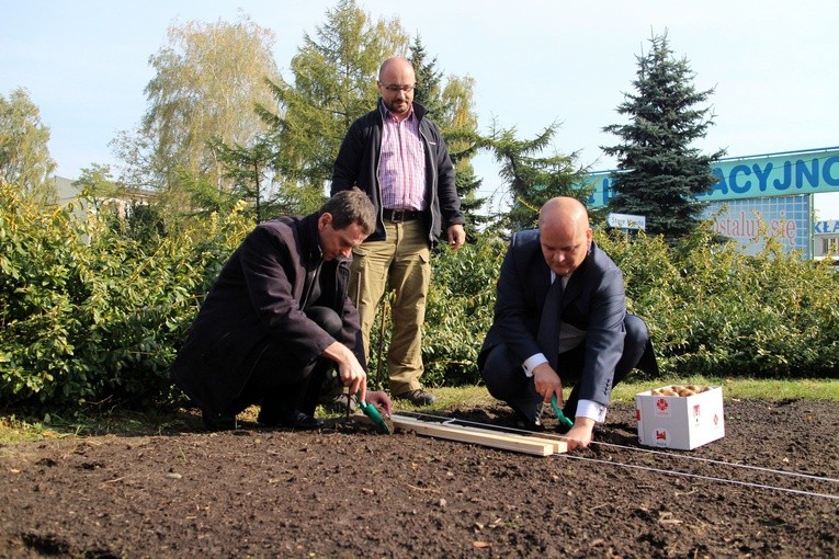 Pola Nadziei w Płocku