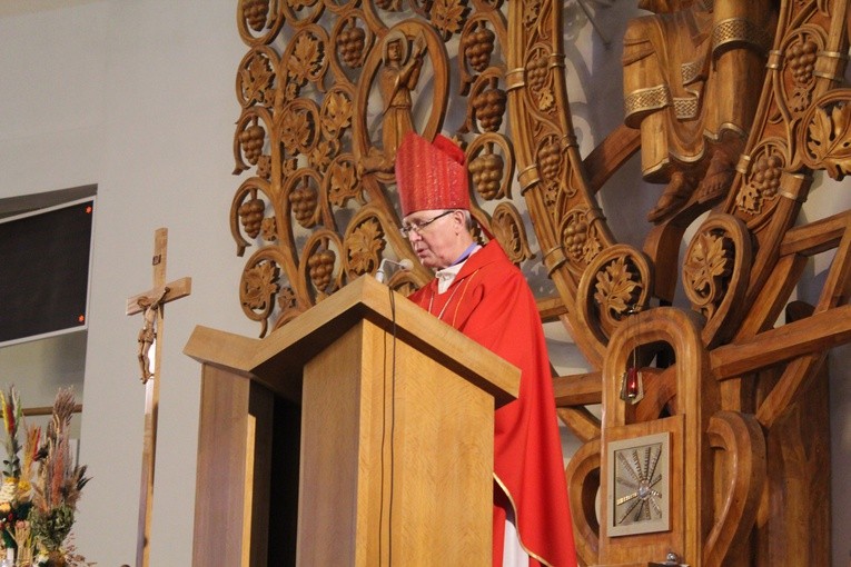 Niedziela Palmowa młodych