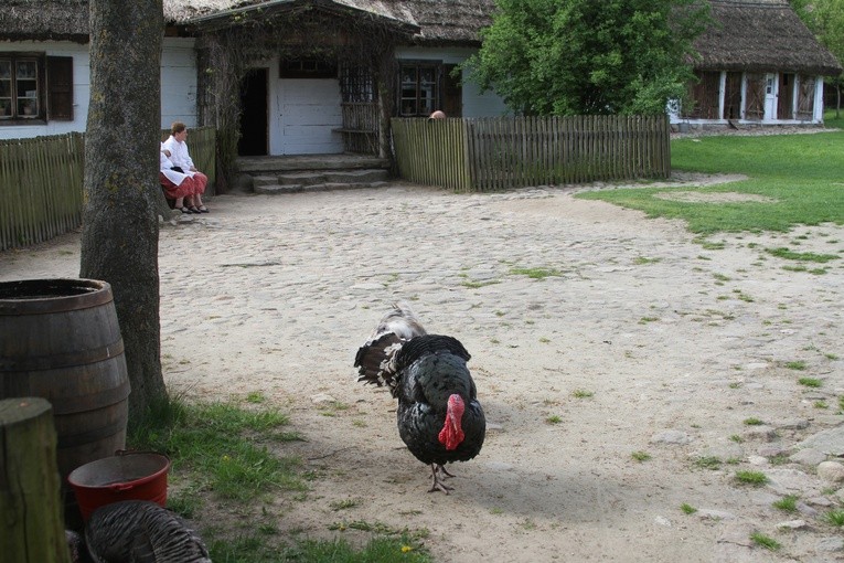 Majówka w skansenie
