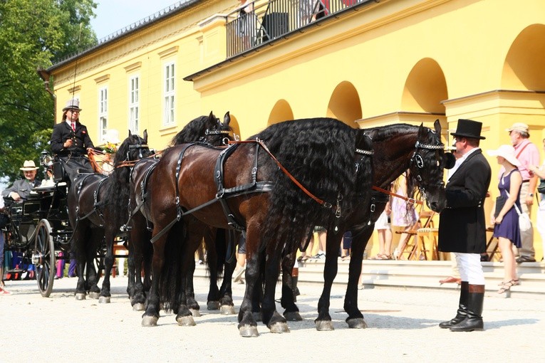 I Międzynarodowy Konkurs Tradycyjnego Powożenia o Trofeum Śląska w Koszęcinie