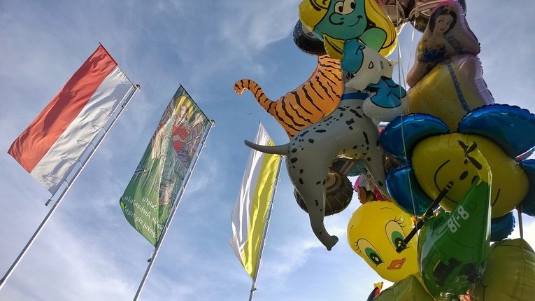 Odpust i festyn w Rusinowicach