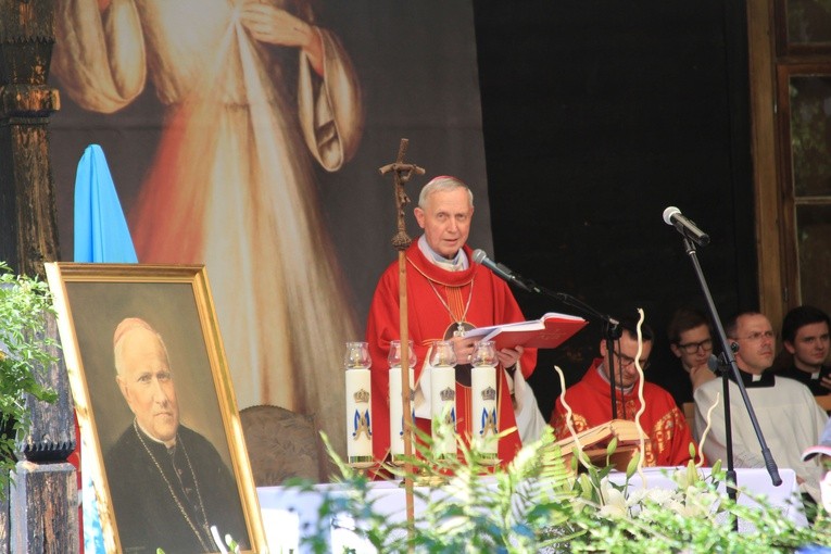Brwilno. Biskup płocki w Antoniówce