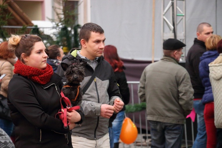 Świąteczne Spotkania Elblążan - Dzień I