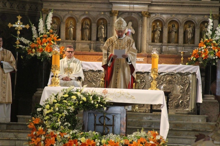 Płock. Święcenia kapłańskie - część 1.