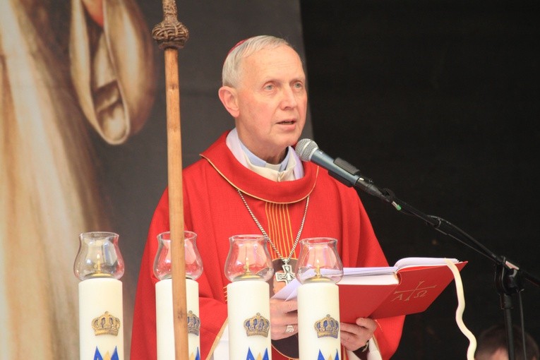 Brwilno. Biskup płocki w Antoniówce
