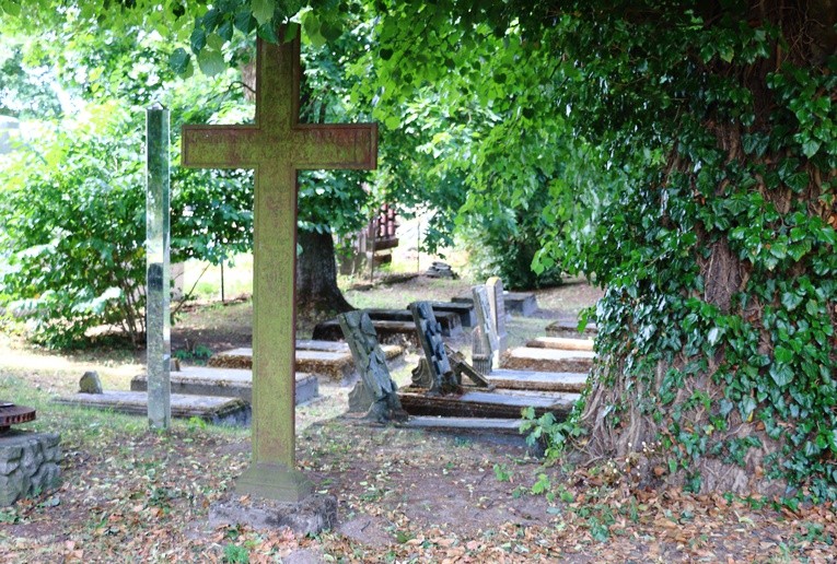 Otwarcie lapidarium w Rodowie