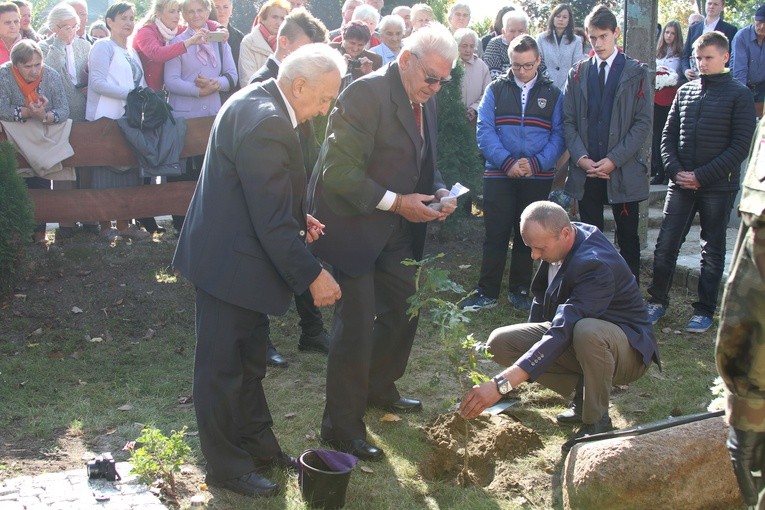 Dąb Pamięci w par. Janowiec Kościelny