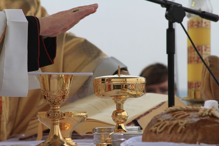 Dożynki diecezjalne. Część 2