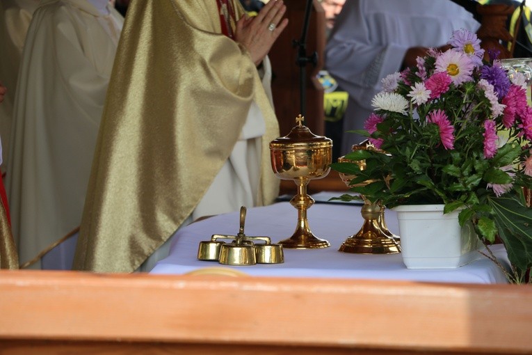 Dobrzyń nad Wisłą. Powitanie figury św. Jakuba